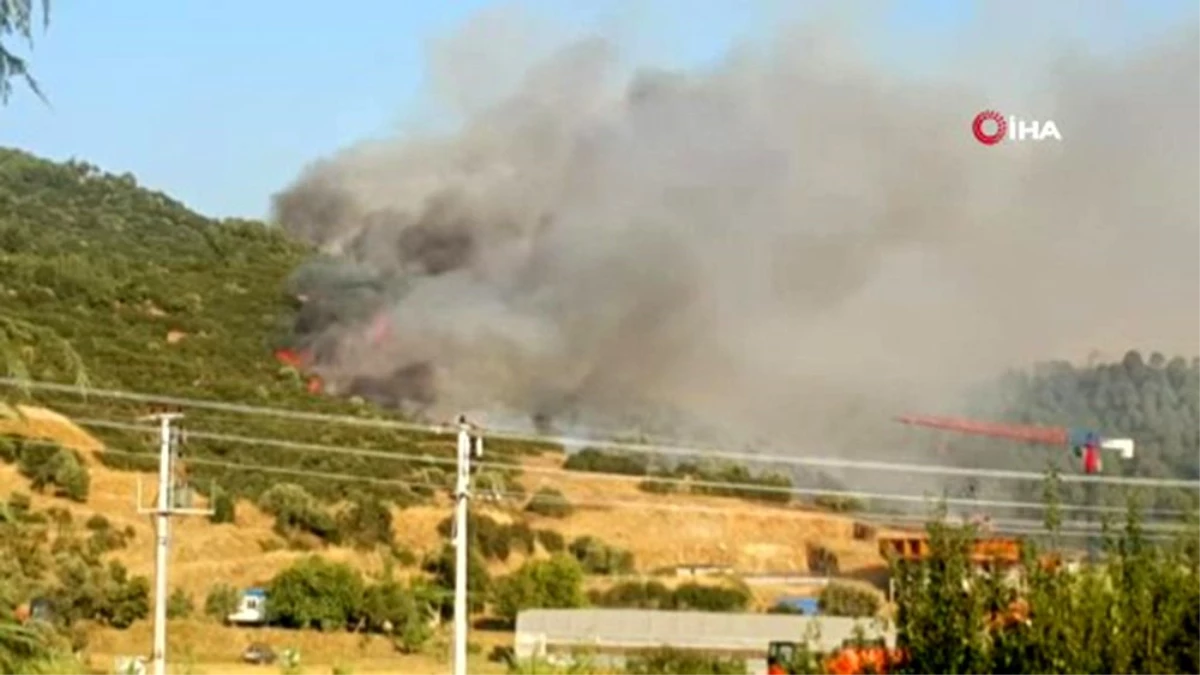 İzmir\'deki orman yangını kontrol altına alındı