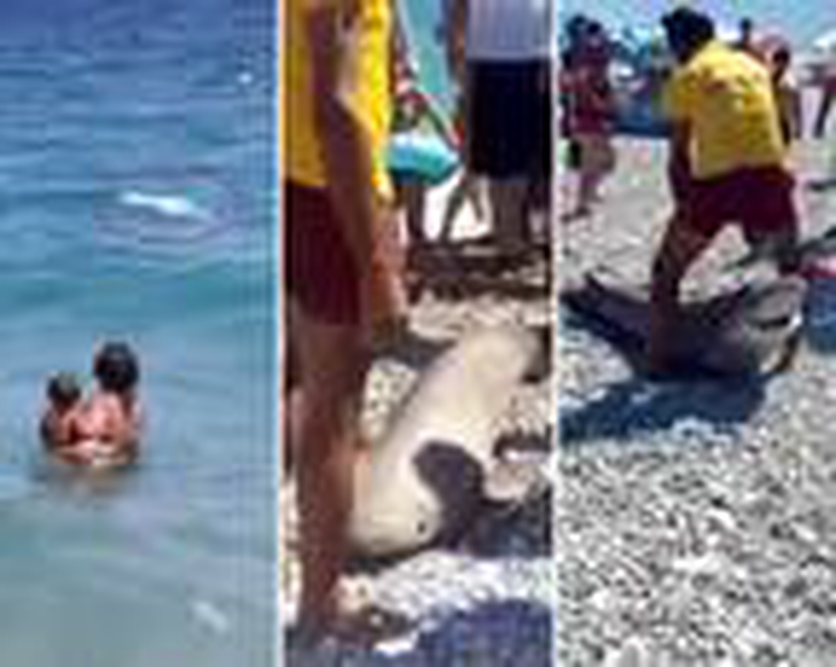 Antalya\'da köpekbalığı ölüsü kıyıya vurdu