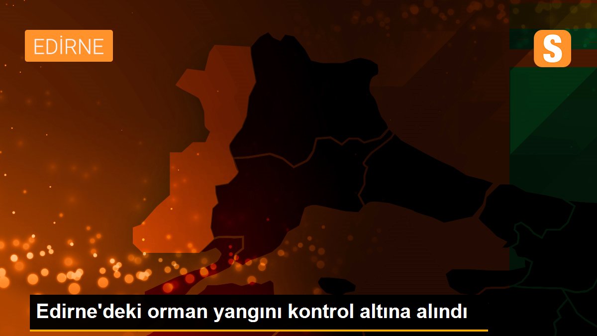 Son dakika haber! Edirne\'deki orman yangını kontrol altına alındı