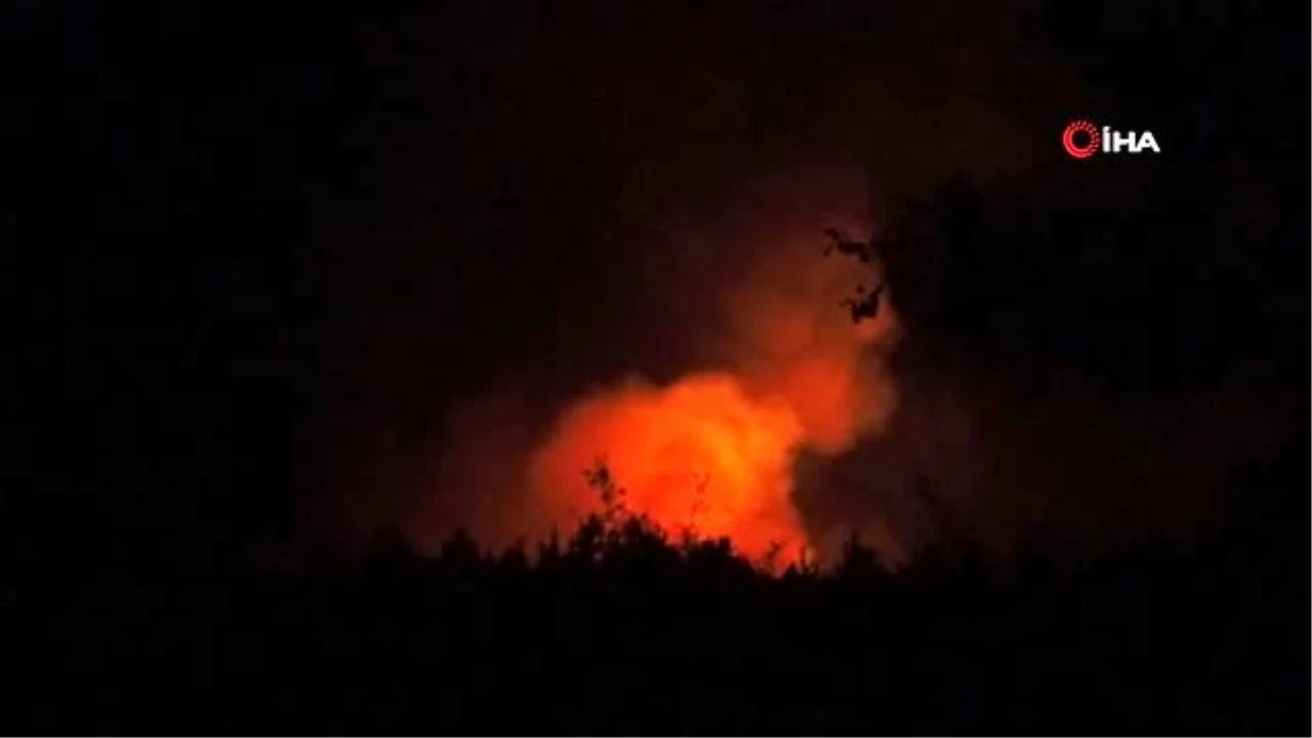Edirne\'deki orman yangını tamamen kontrol altına alındı