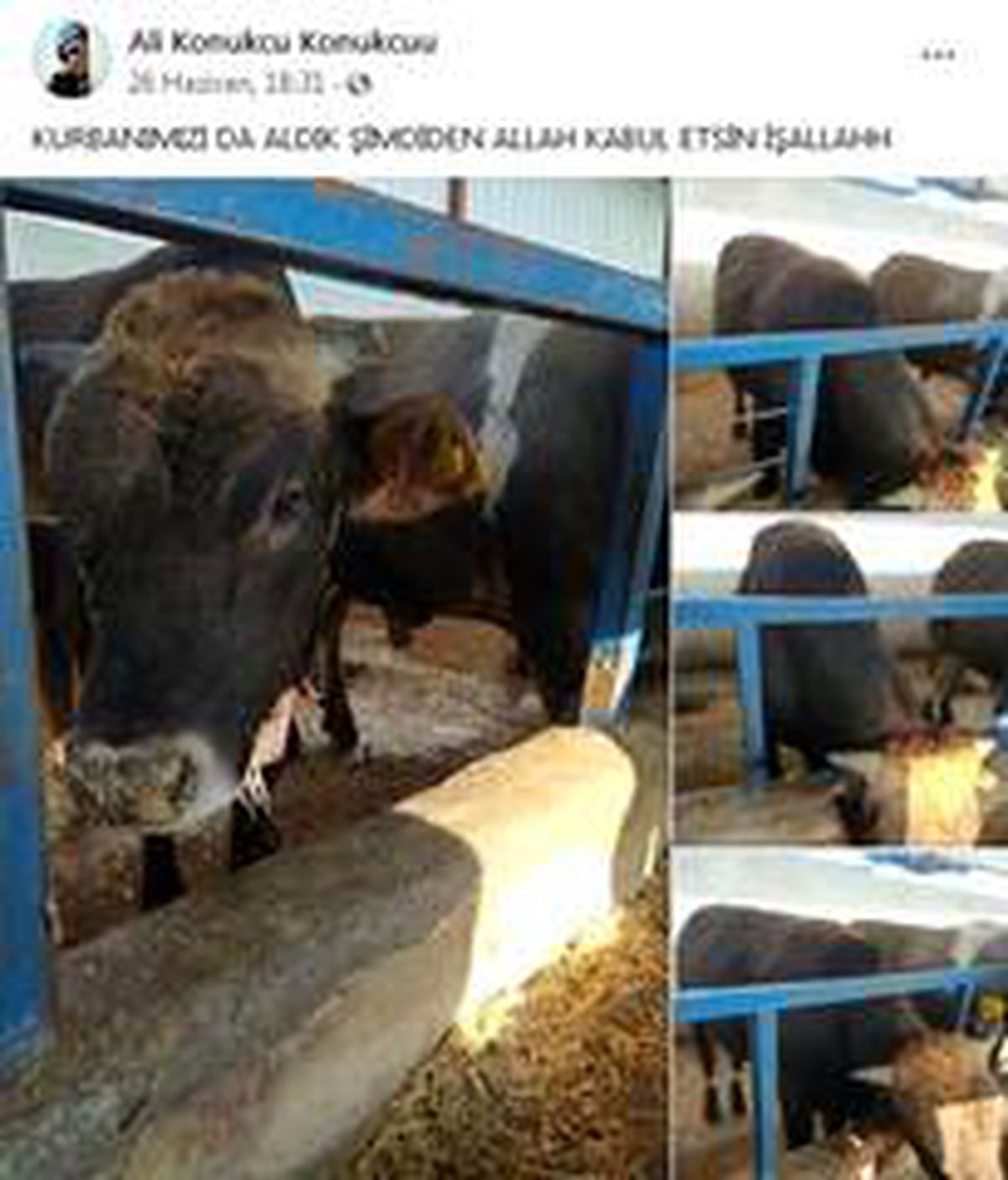 Konya\'ya şehit ateşi düştü