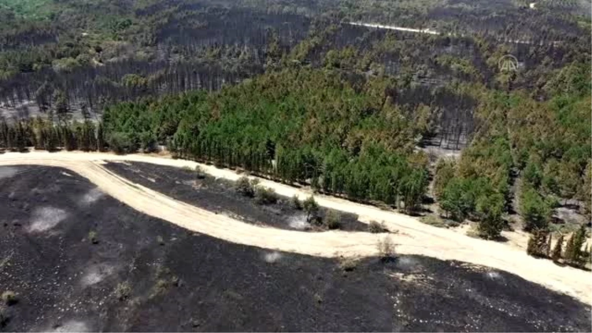 Orman yangını kontrol altına alınan orman yangını bölgesindeki soğutma çalışması sürüyor