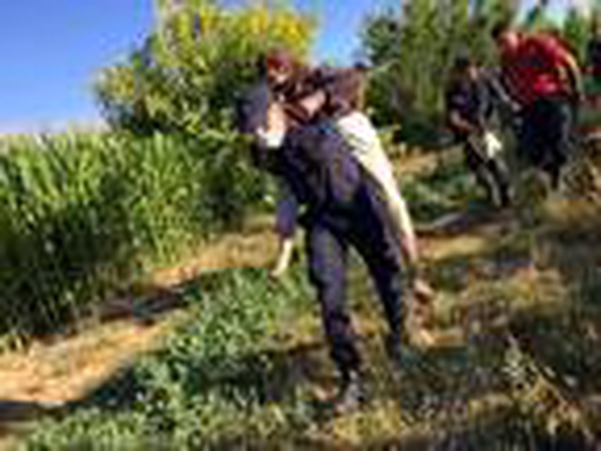 15 saat sonra bulunan yaşlı kadını, jandarma sırtında taşıdı
