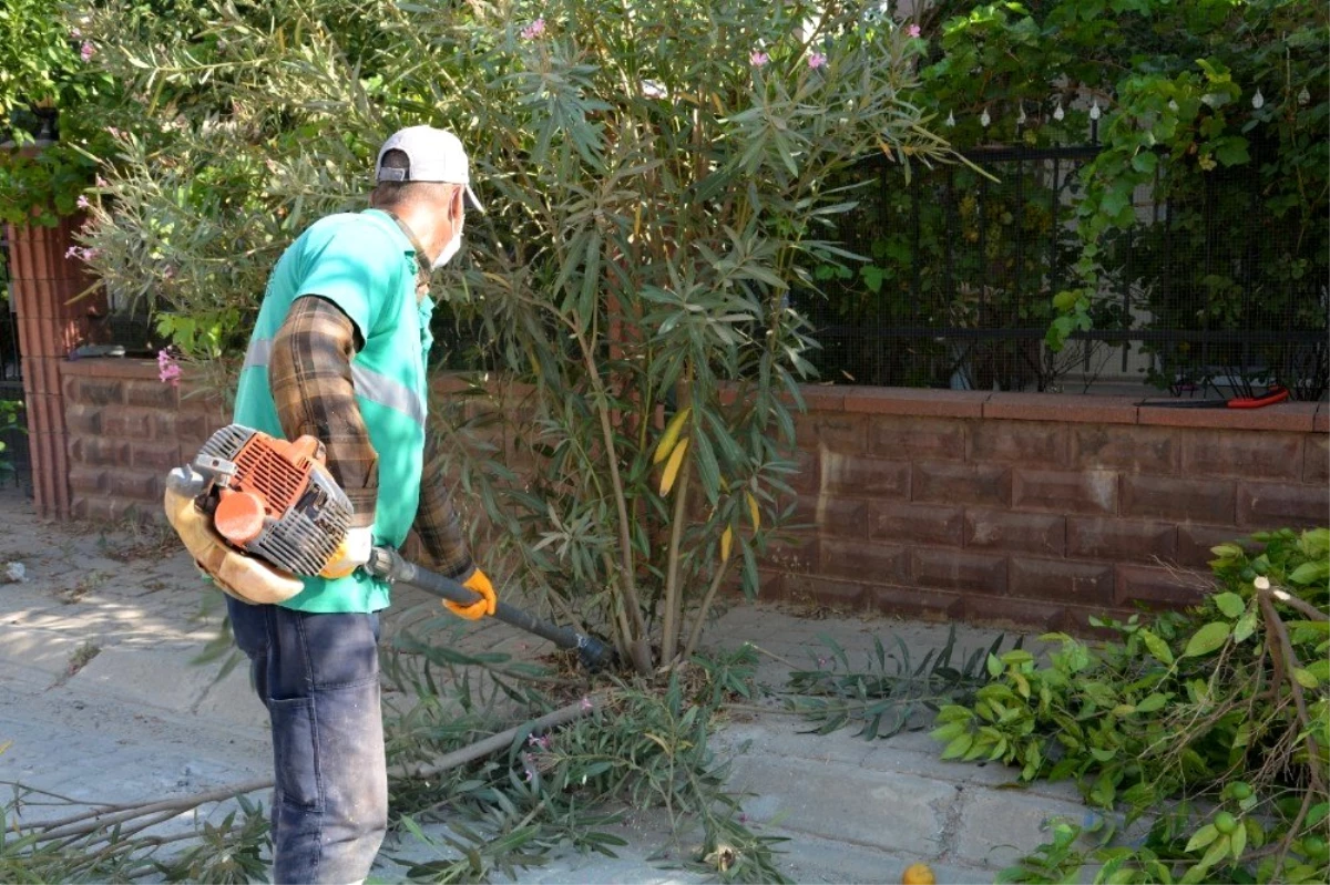 Efeler Belediyesi temizlik çalışmalarını sürdürüyor