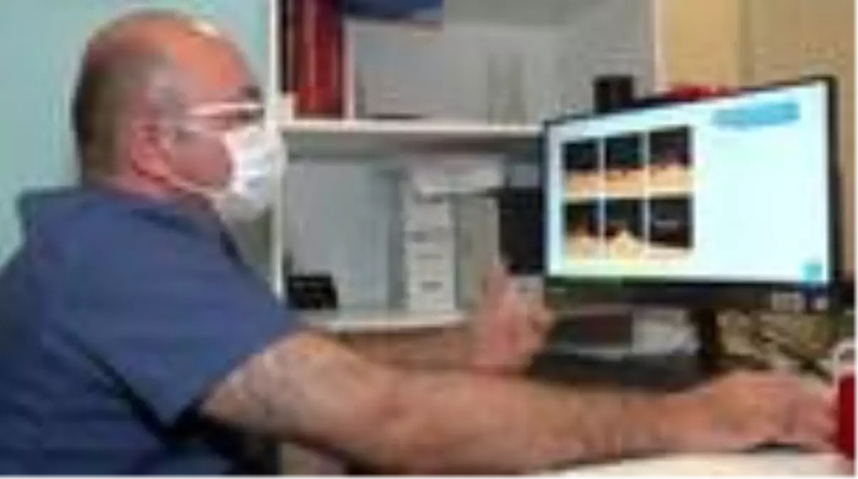 İZMİR Mesire alanlarındaki kene tehdidine dikkat