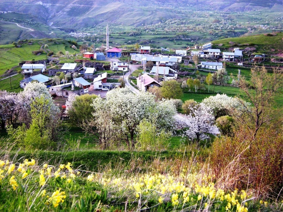 Ardahan\'ın ilçelerinde Müftü, Posof\'un köylerinde imam yok