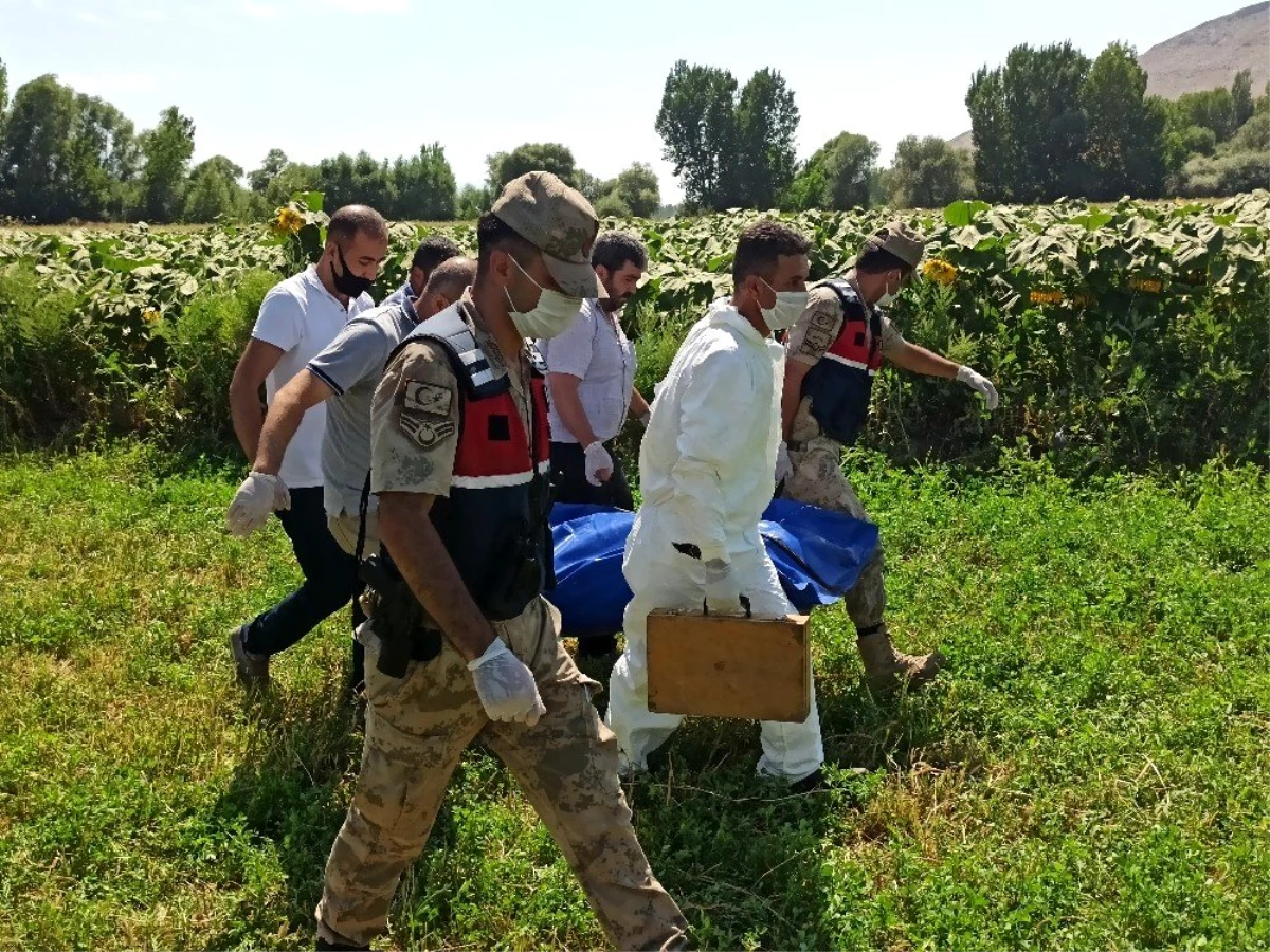 Ayçiçeği tarlasında cansız bedeni bulunan engelli tabanca ile vurulmuş