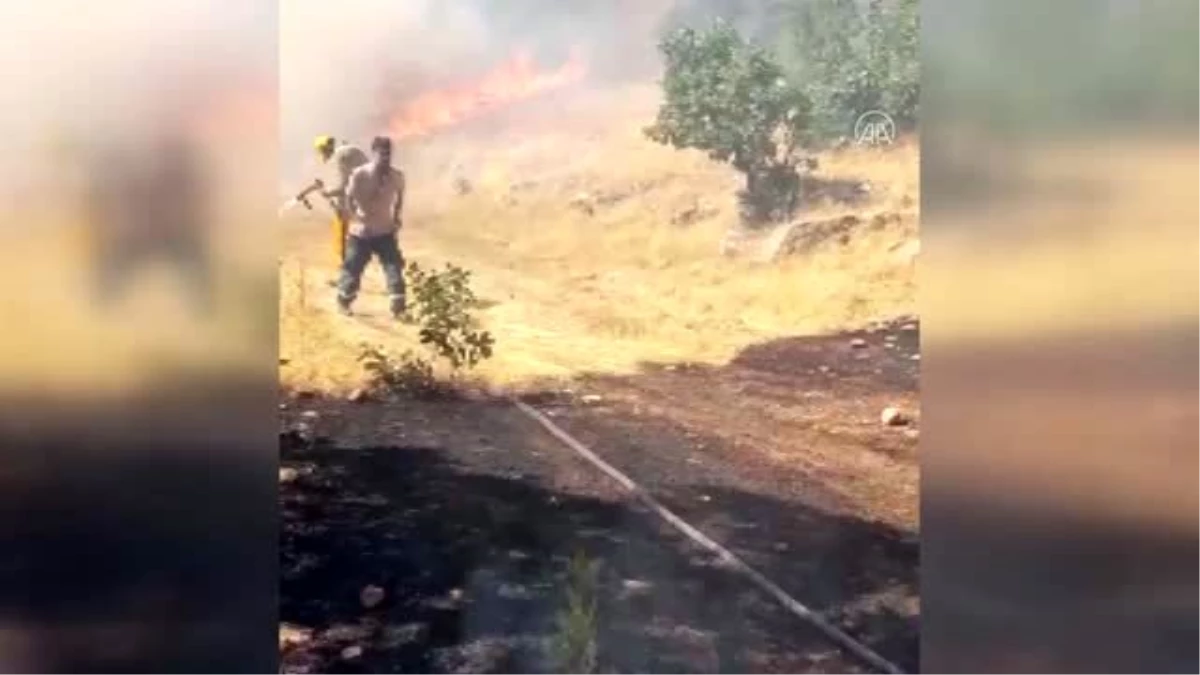 Baykan\'da orman yangını kontrol altına alındı