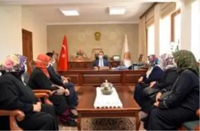 Yelken Rezene 100gr Fiyati Taksit Secenekleri Ile Satin Al