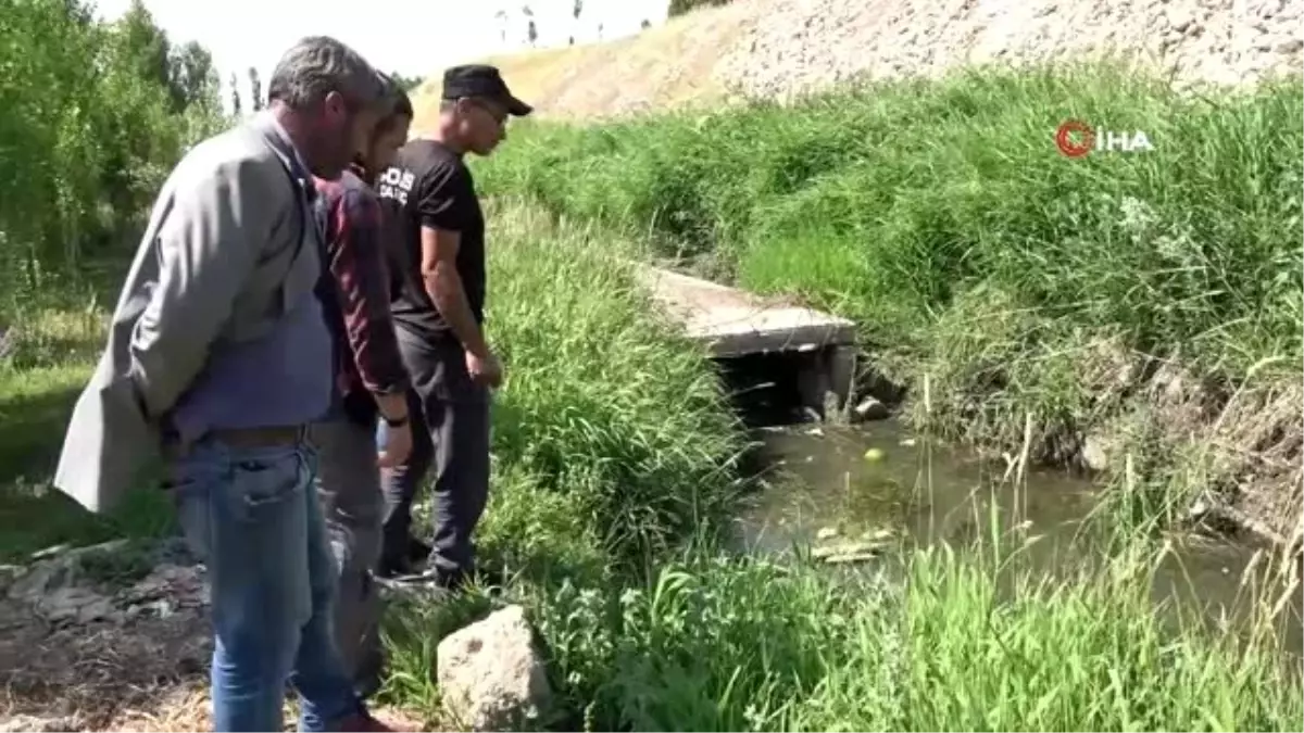 Çaresiz bekleyişleri sonlandıran kurbağa adamlar