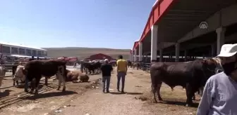 Doğu'nun hayvancılık merkezlerinde Kurban Bayramı yoğunluğu