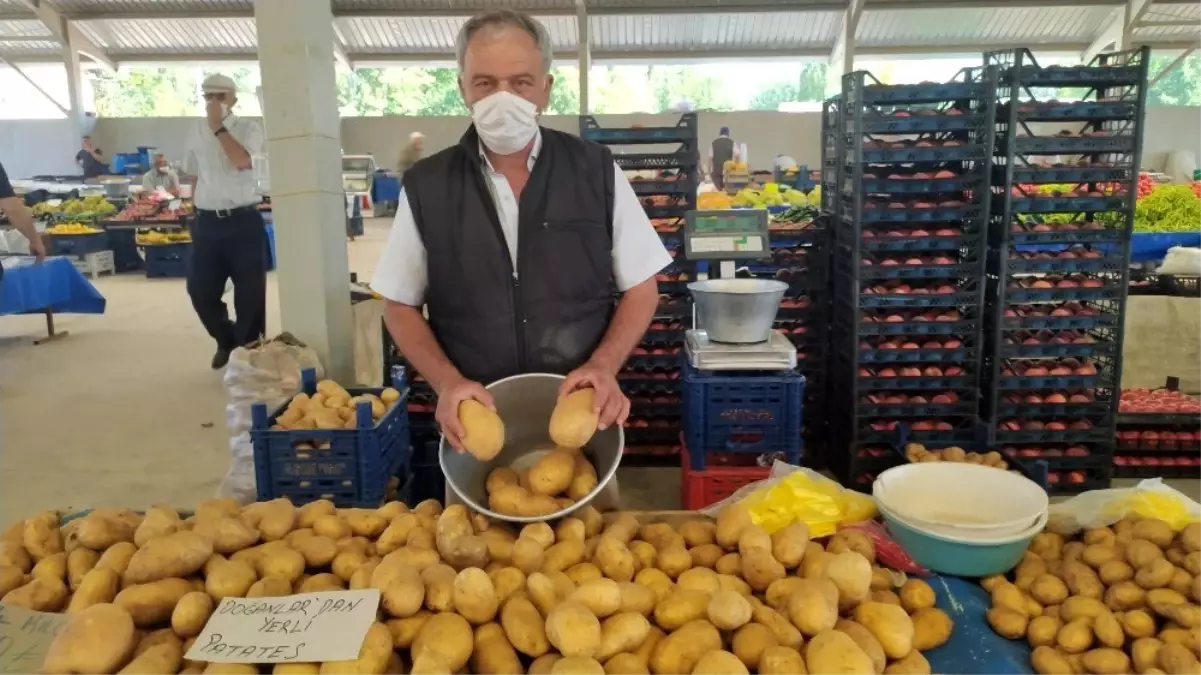 Hisarcık\'ta yerli patates çıktı fiyatlar düştü