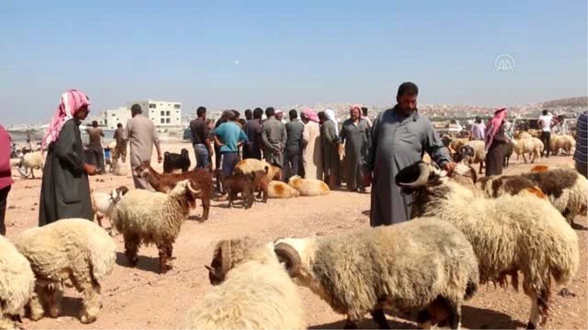 İdlib\'deki kamplardaki siviller, Kurban Bayramı\'nda yardım bekliyor