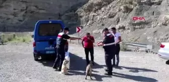 Sıcaktan etkilenen hayvanlara su ve yiyecek taşıdılar