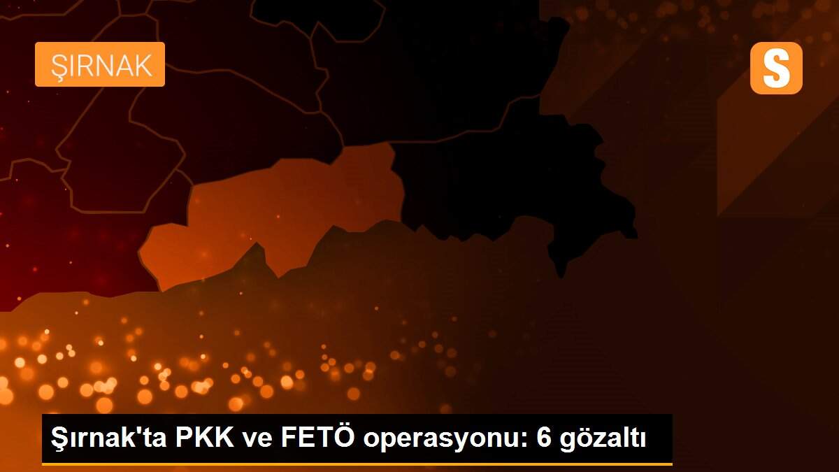 Şırnak\'ta PKK ve FETÖ operasyonu: 6 gözaltı