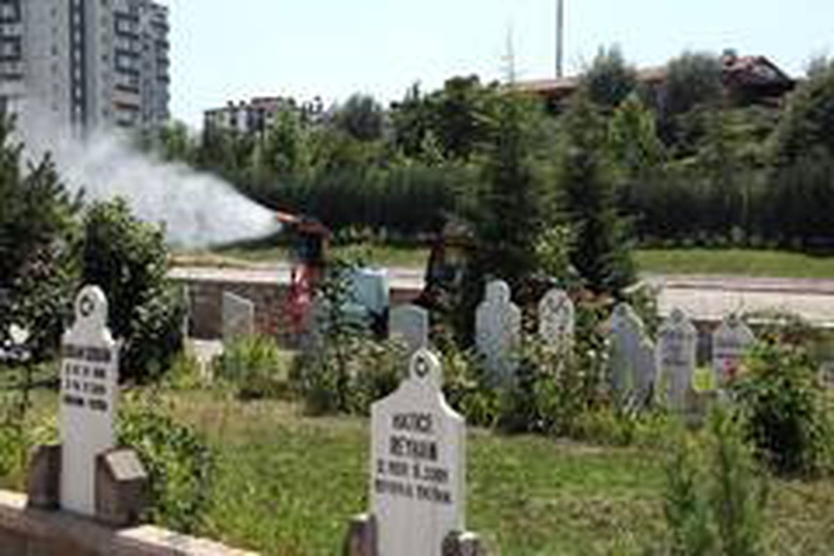 Talas Kurban Bayramı\'na hazır