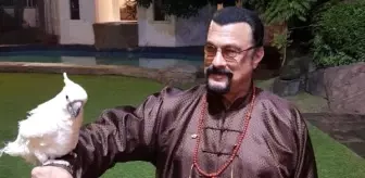 Son dakika haber: Ünlü Hollywood yıldızı Steven Seagal, Rusya'da arazi sahibi oluyor