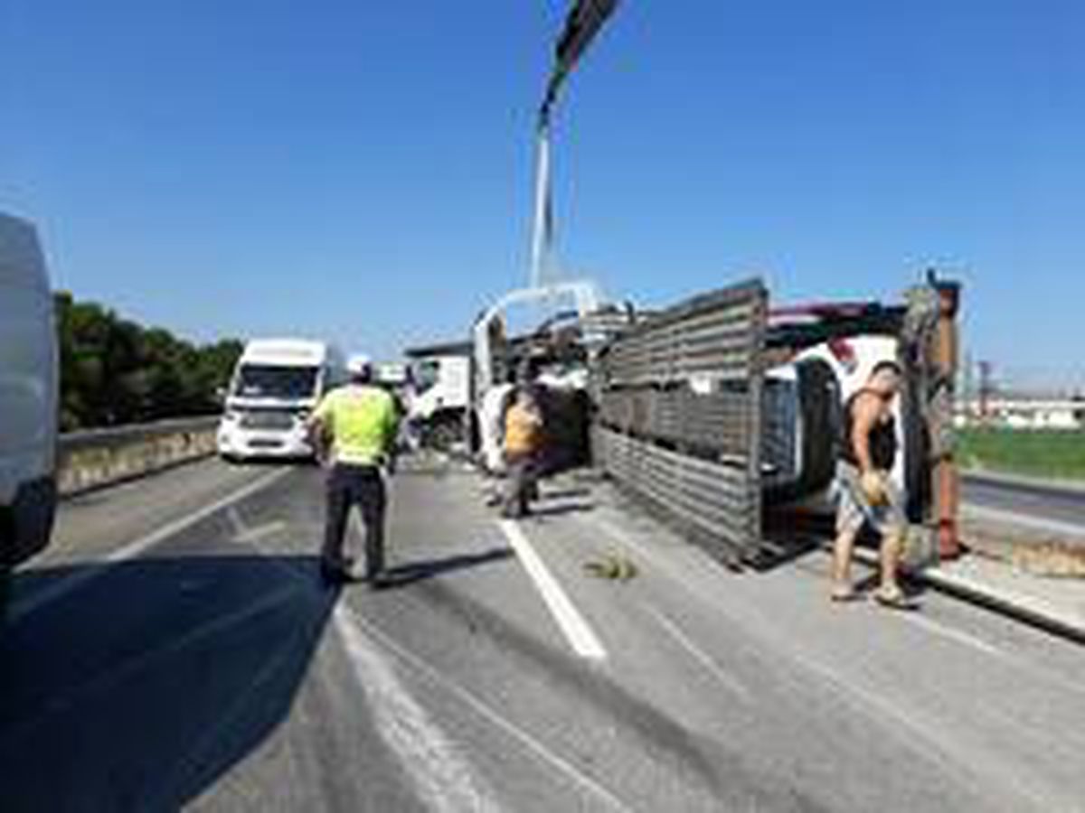 8 otomobili taşıyan TIR devrildi