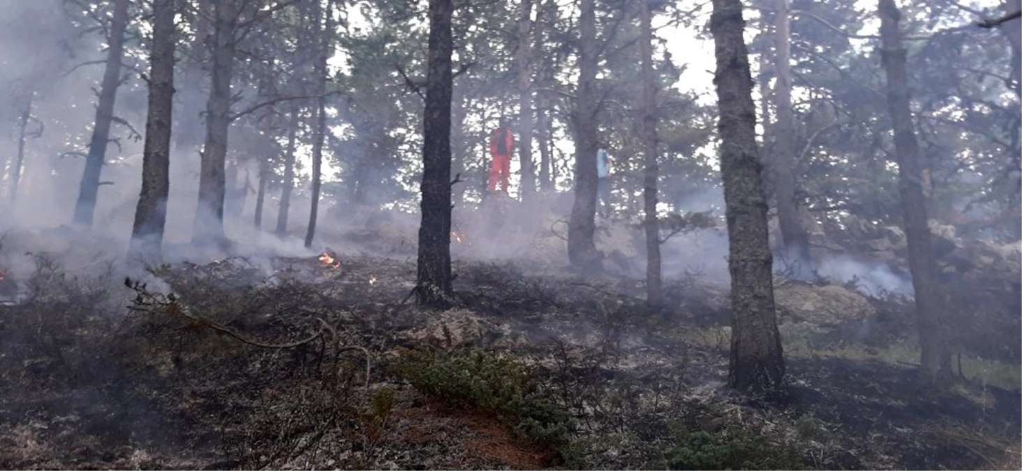 Amasya\'da korkutan orman yangını