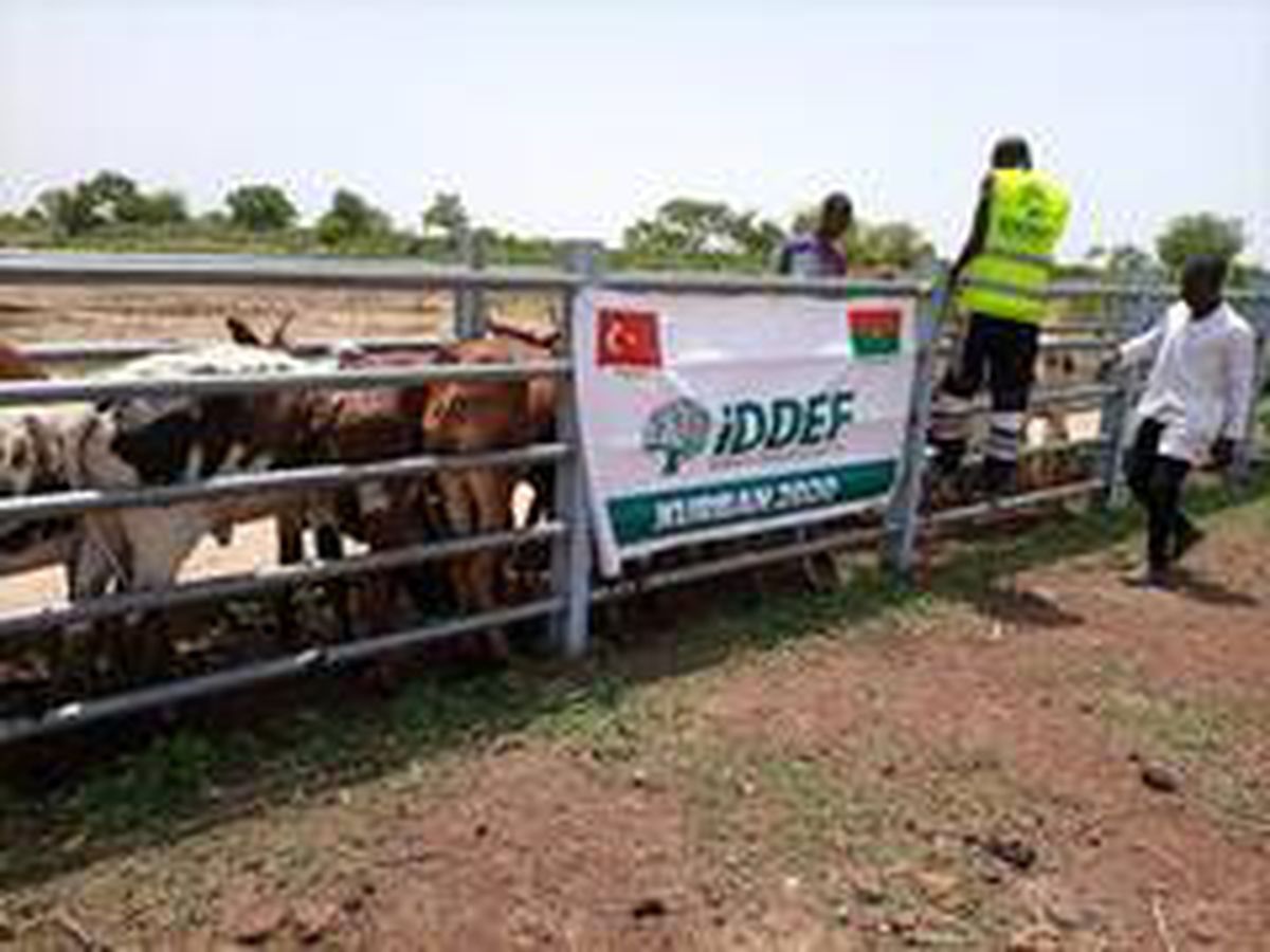 İDDEF, kurban organizasyonuna hazır