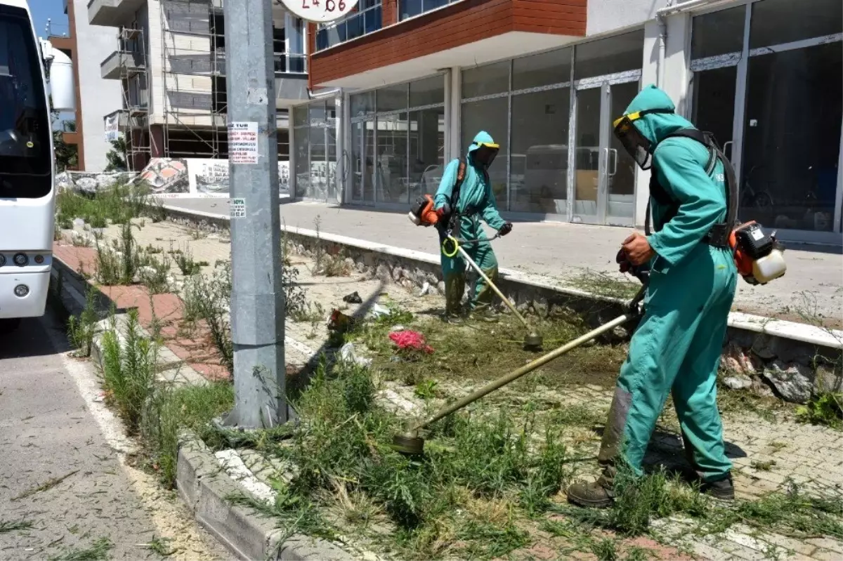 İzmit sokaklarında, yabani ot temizliği sürüyor