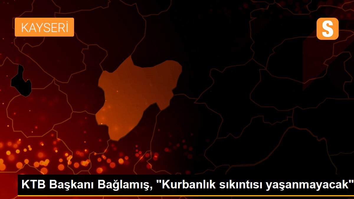 KTB Başkanı Bağlamış, "Kurbanlık sıkıntısı yaşanmayacak"