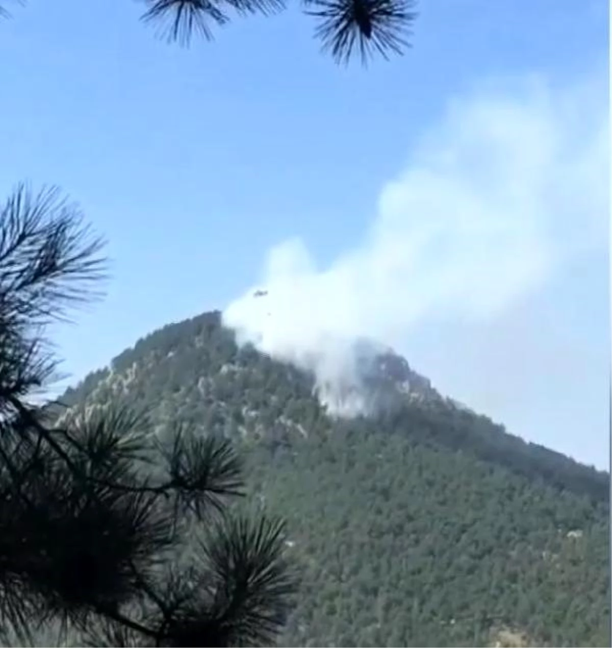Son dakika haberi! Bursa\'da orman yangını