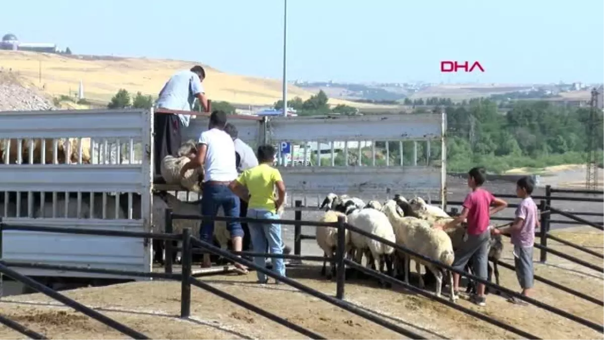 Diyarbakır\'da kurban kesimi için 10 yer belirlendi