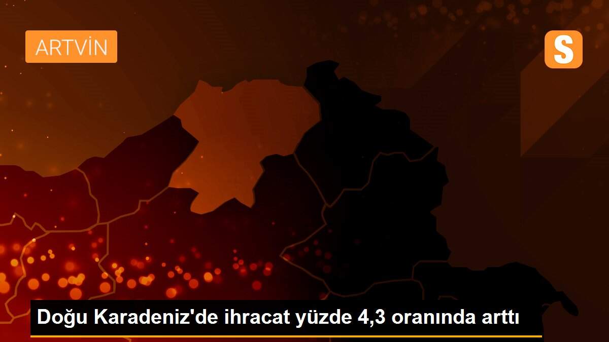 Doğu Karadeniz\'de ihracat yüzde 4,3 oranında arttı