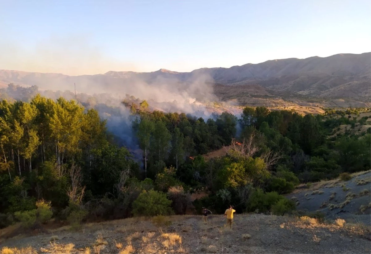 Elazığ\'da orman yangını, 30 dönüm zarar gördü