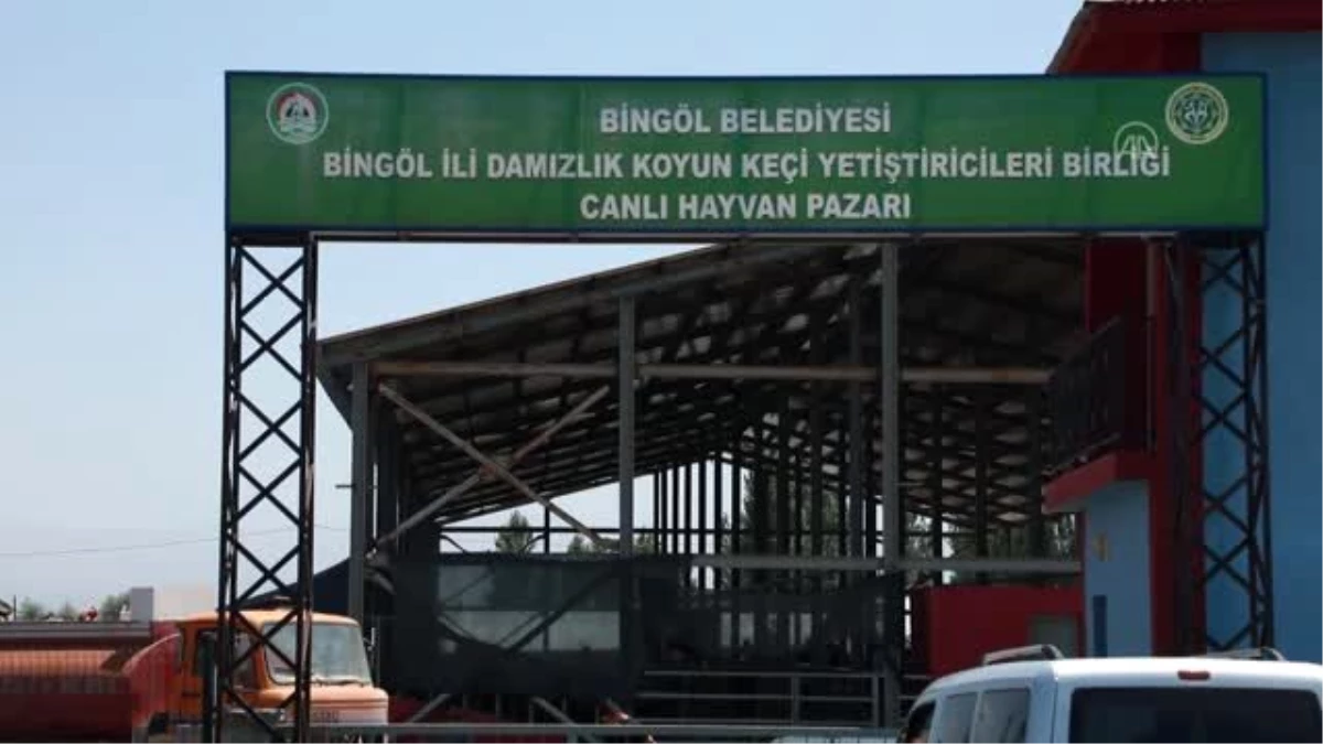 Kurban pazarlığı "tokalaşma çubuğu"yla yapılıyor