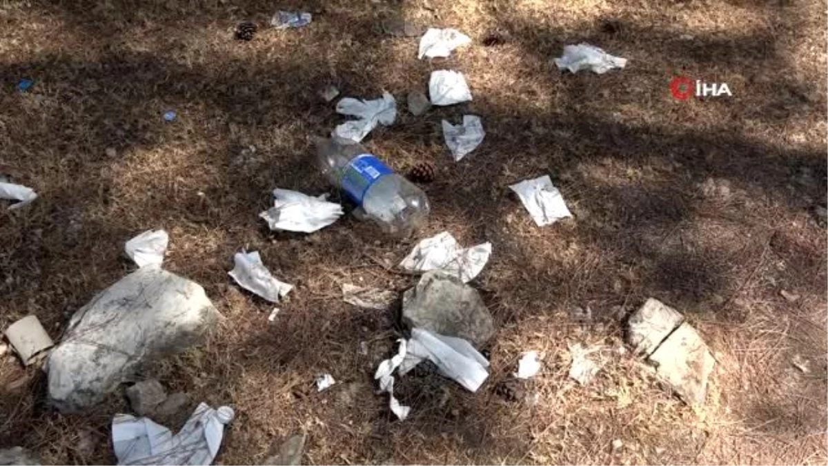 Sosyal medya aracılığıyla buluşan gençler ormandaki çöpleri temizledi