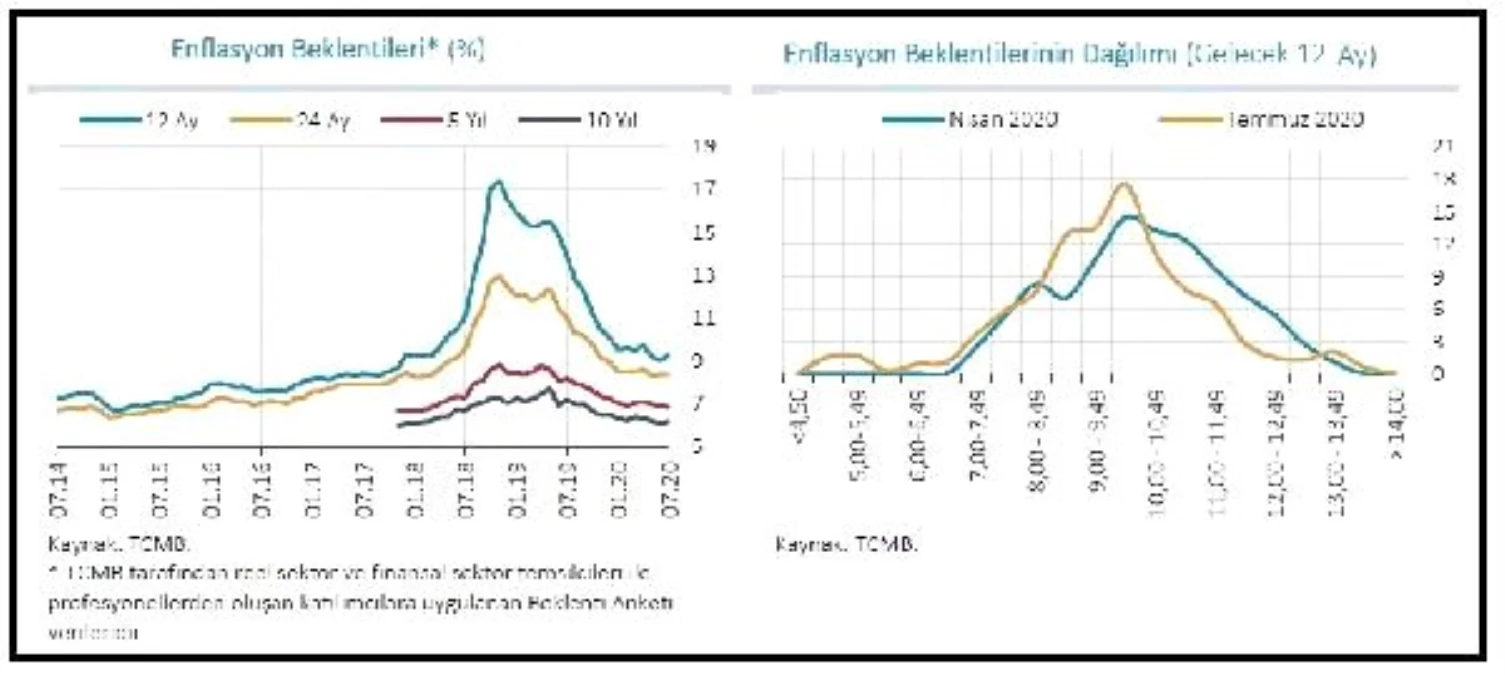 TCMB 2020 enflasyon öngörüsünü yüzde 8.9\'a yükseltti