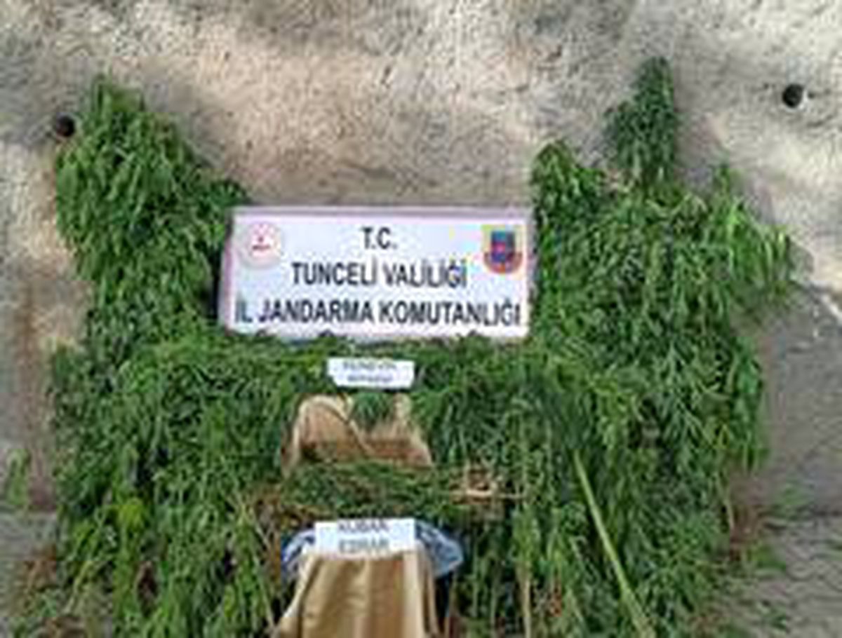 Tunceli\'de uyuşturucu ile mücadele