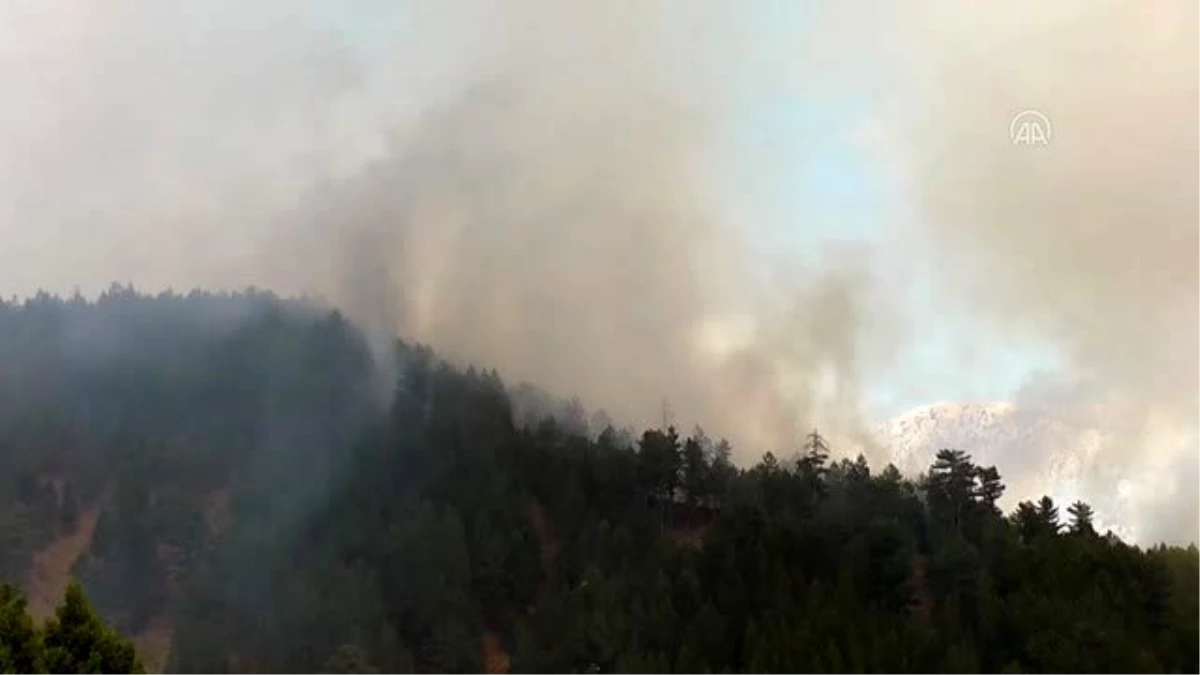 Beyşehir\'de orman yangını