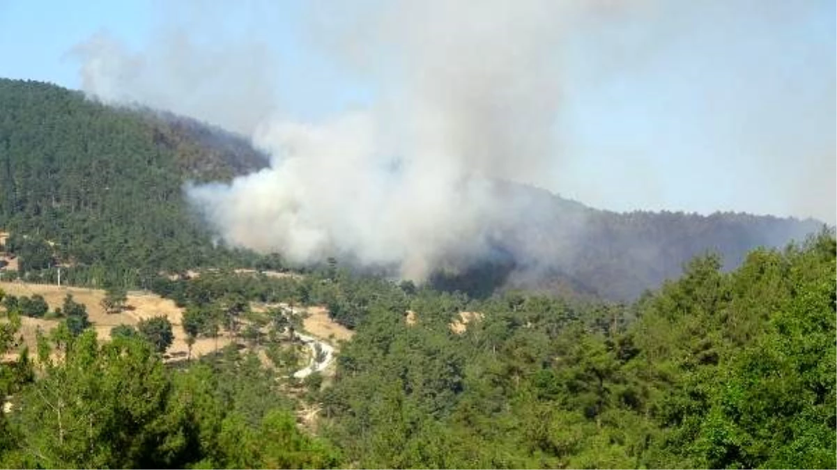 Çanakkale\'de orman yangını (2)- Yeniden