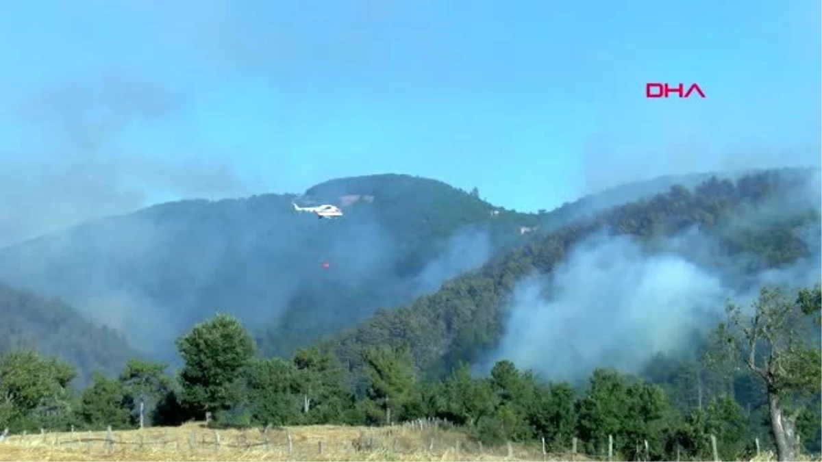 Çanakkale Yenice\'deki orman yangınına ekiplerin müdahalesi sürüyor