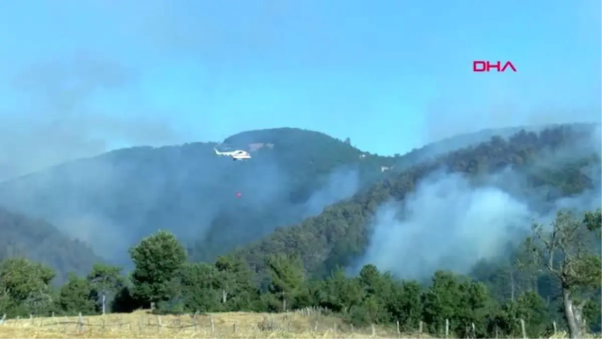 Çanakkale Yenice\'deki orman yangınına ekiplerin müdahalesi sürüyor