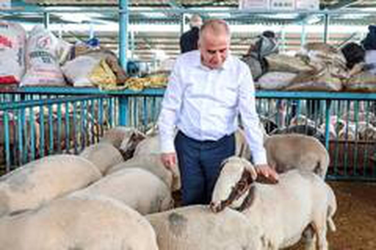 Canlı Hayvan Pazarı kurban boyunca açık olacak