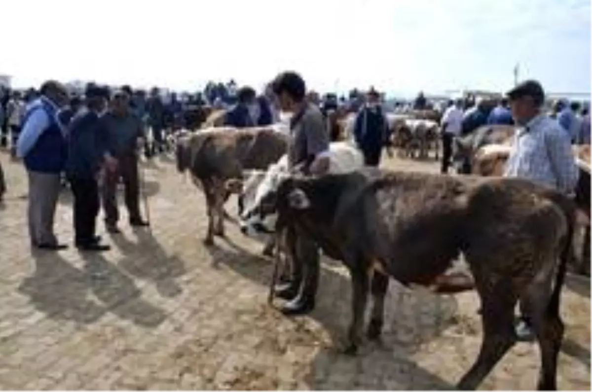 Kars\'ta Kurban Pazarı\'nda son gün yoğunluğu