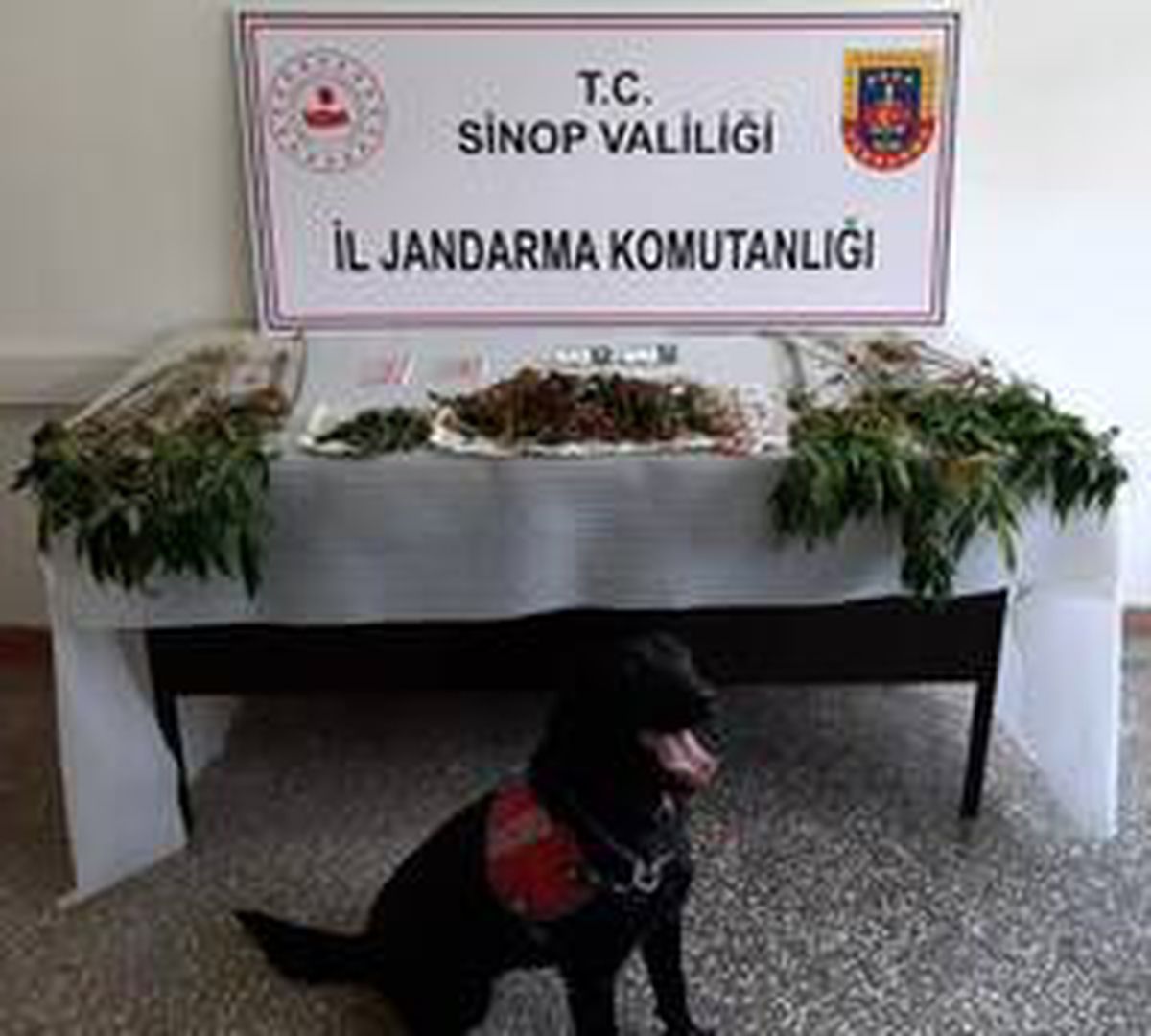 Sinop\'ta uyuşturucu operasyonu