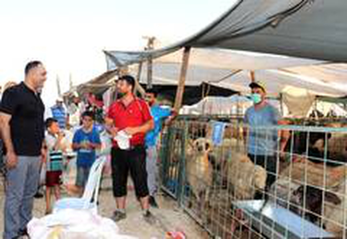 Toroslar\'da kurban satış yerleri ilaçlandı