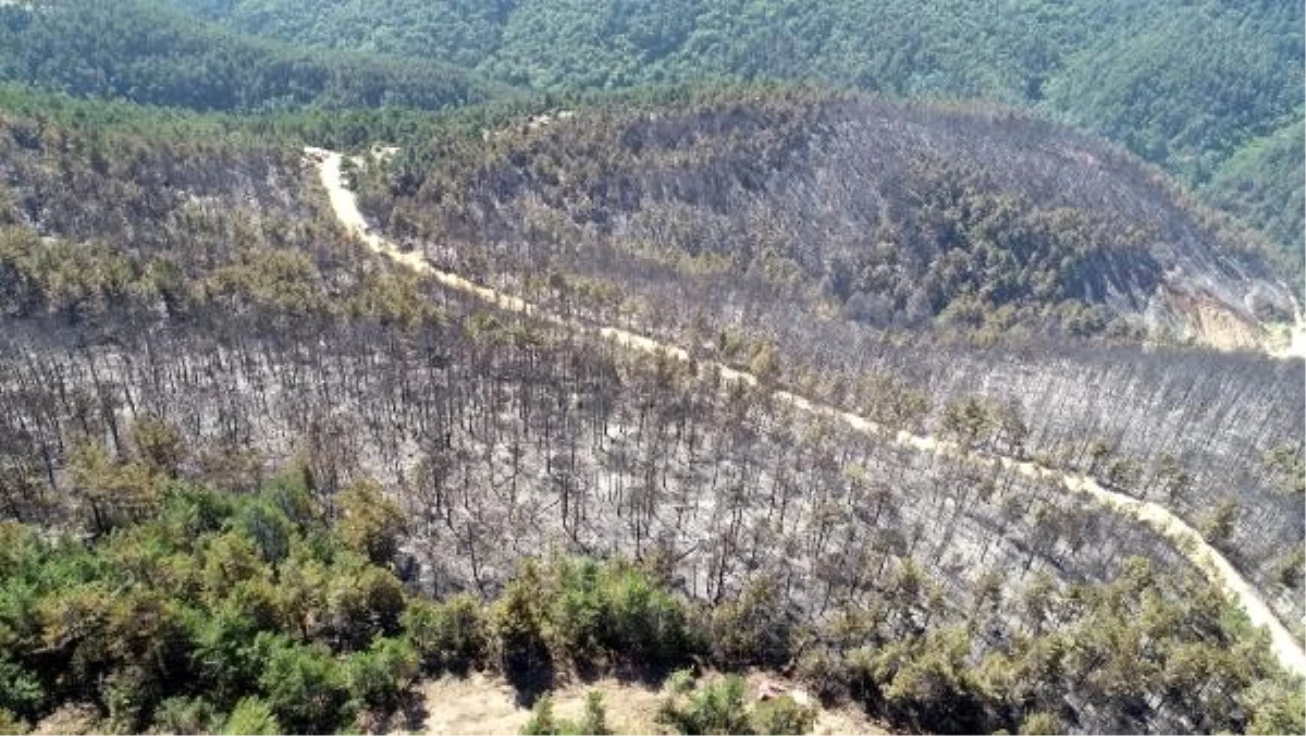 Çanakkale\'de orman yangınına havadan müdahale yeniden başladı (4)