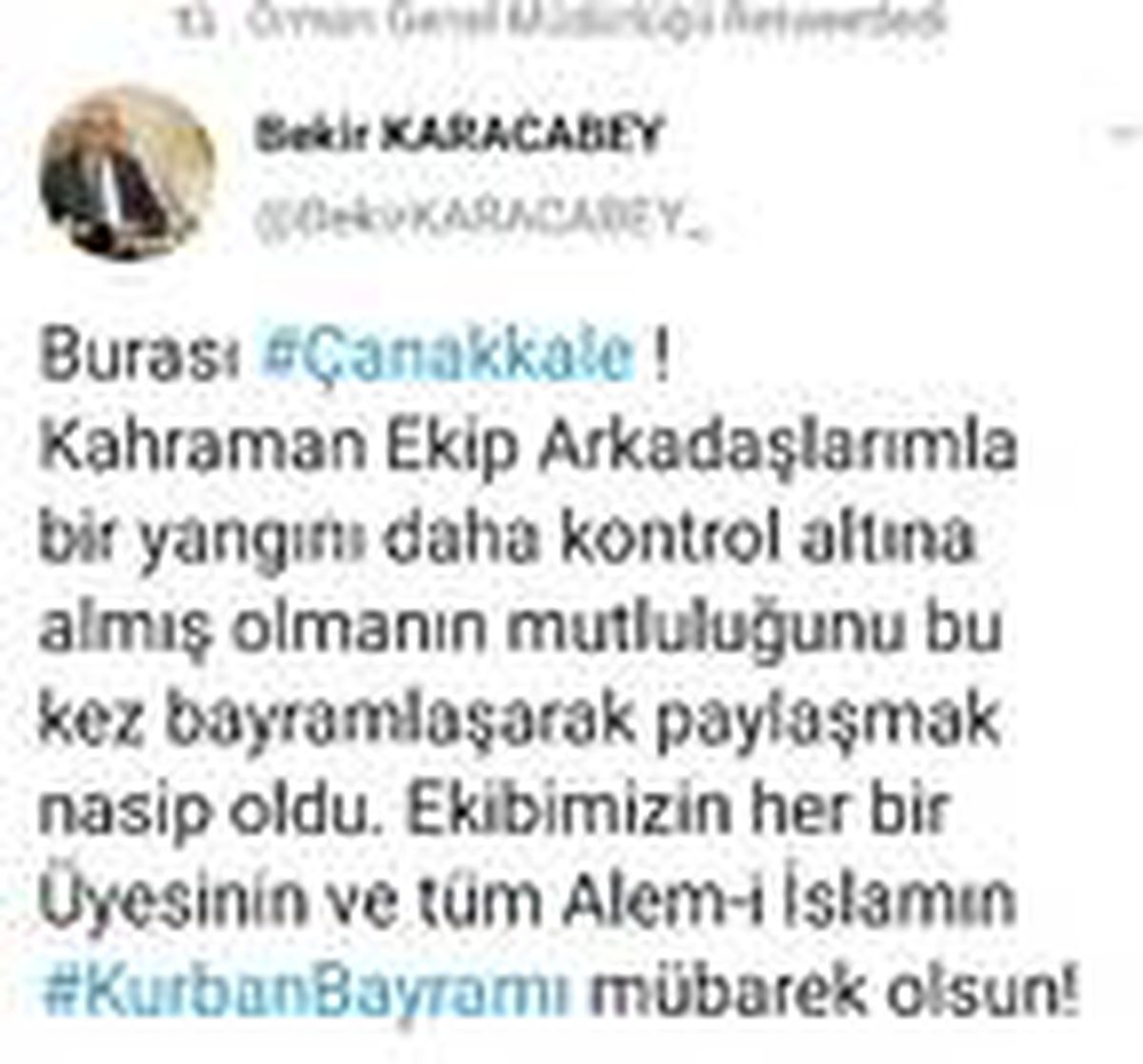Çanakkale\'deki orman yangınına havadan müdahale yeniden başladı (2)