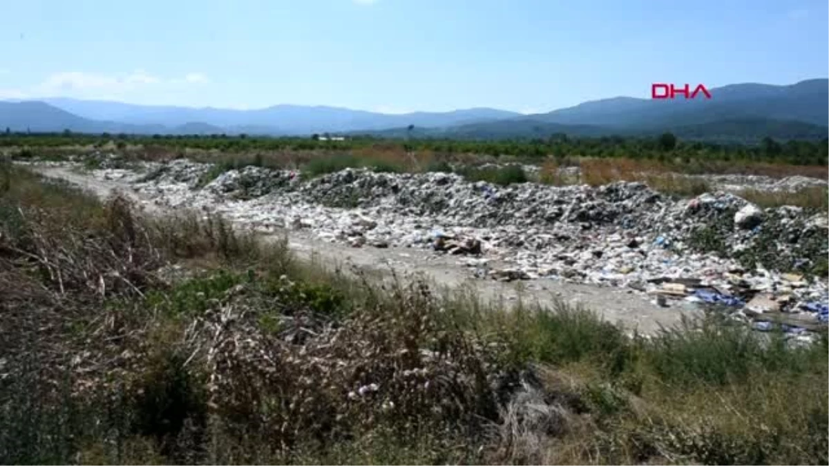 ÇANAKKALE Kaz Dağları\'ndaki çöplük alan, çilek tarlaları ve çevre için tehdit oluşturuyor