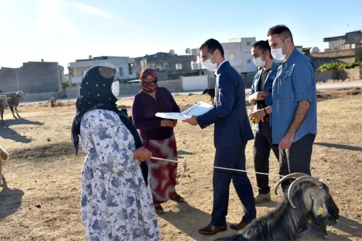 Son dakika haberi... Nusaybin Kaymakamı Temizkan vatandaşlarla bayramlaştı