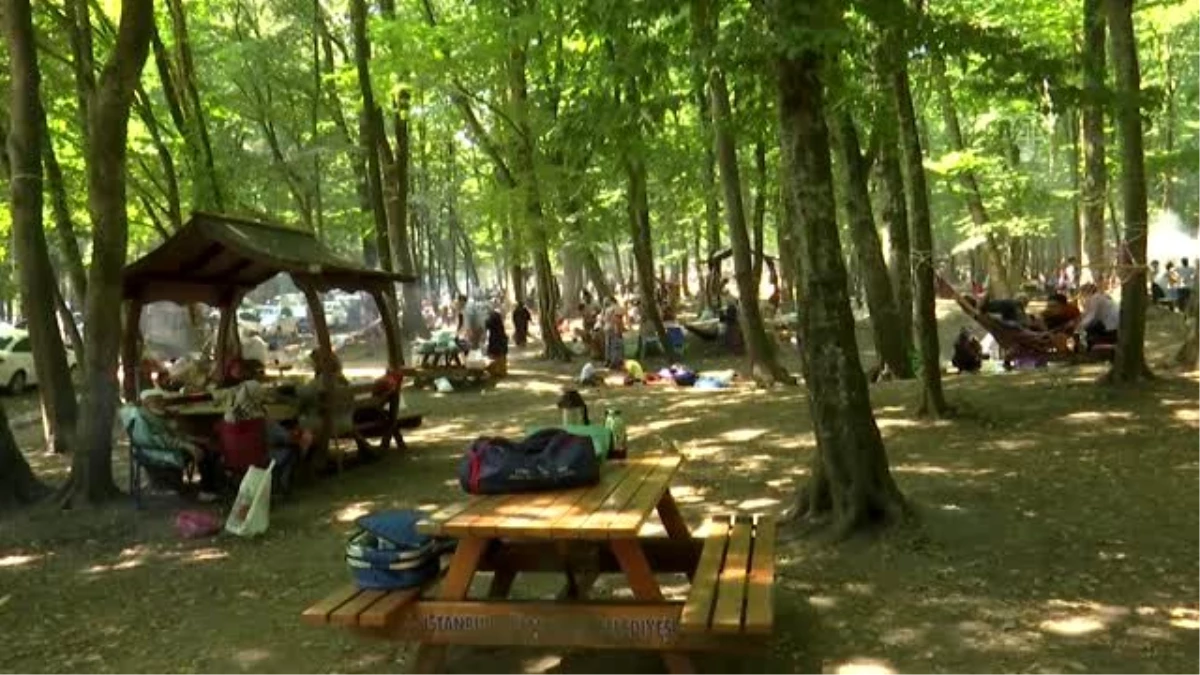 Belgrad Ormanı piknikçilerle hareketlendi