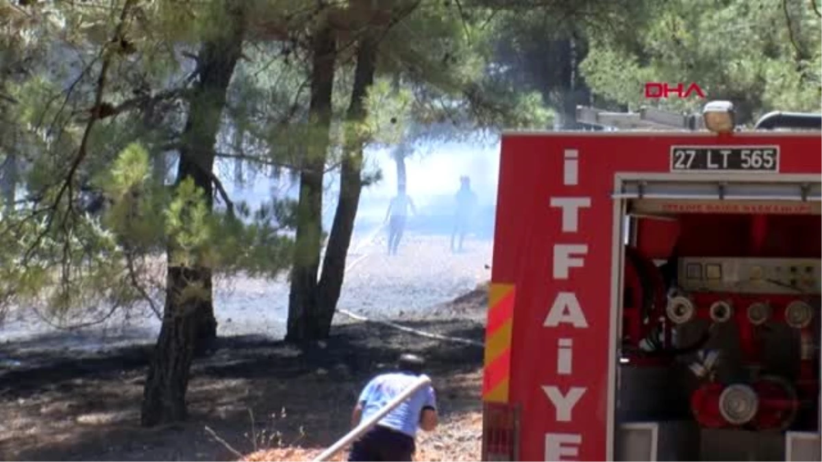 Son dakika haber: GAZİANTEP Orman yangınına kaymakam ve vatandaşlar da müdahale etti