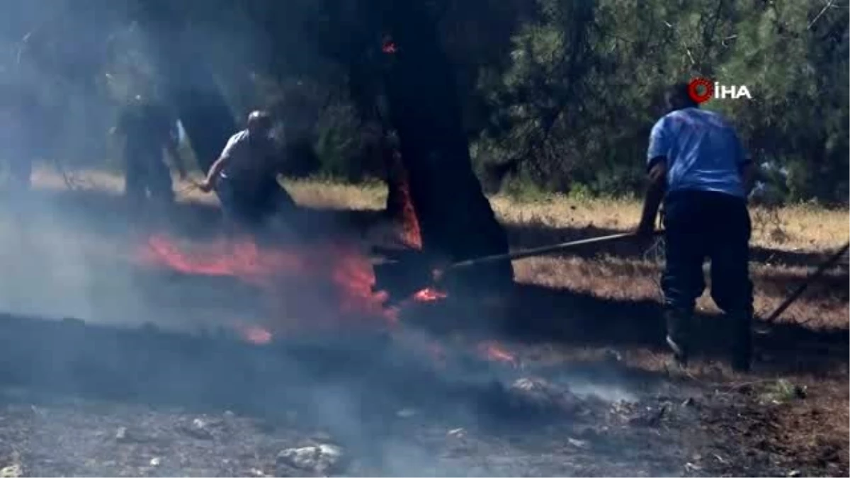 Gaziantep\'teki orman yangını söndürüldü