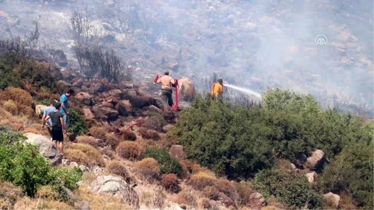 İzmir\'de orman yangını çıktı